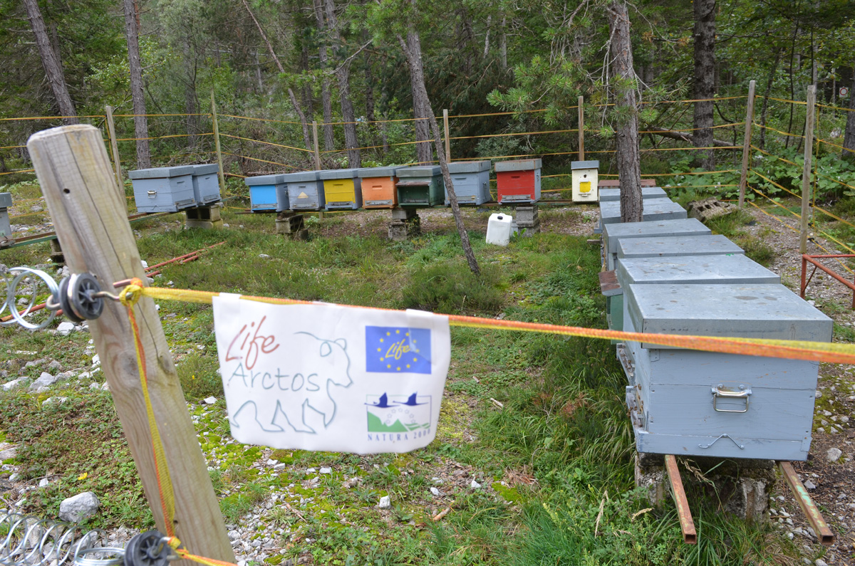 Bienenstand im Bärenland: Vorsorge nötig!