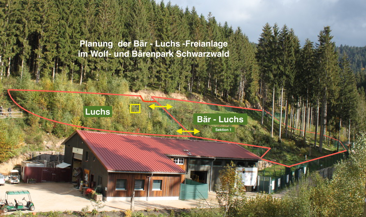 Bär - Luchs- Freianlage - Konzept