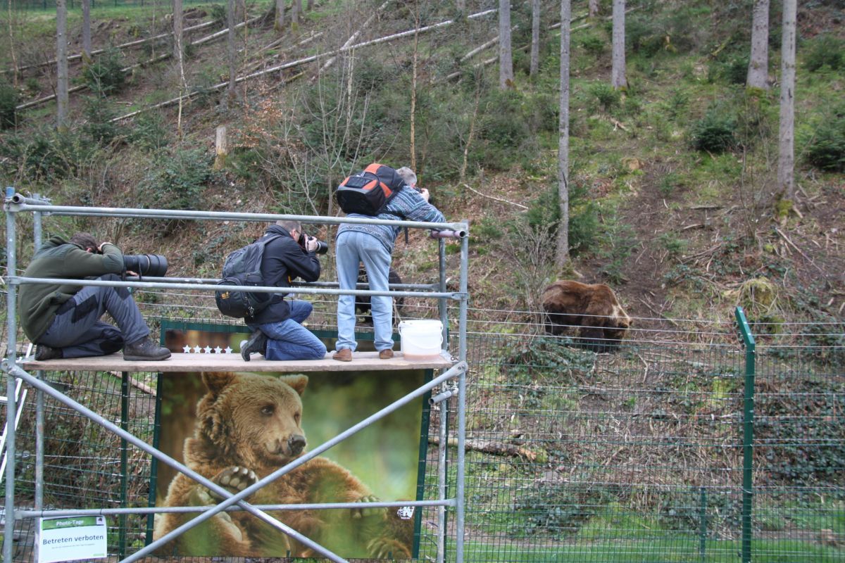 Fototage Bärenpark