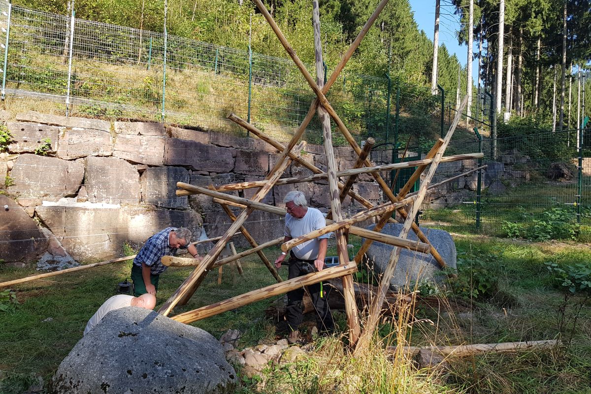 2016 09 12 news bärenwelpen 3