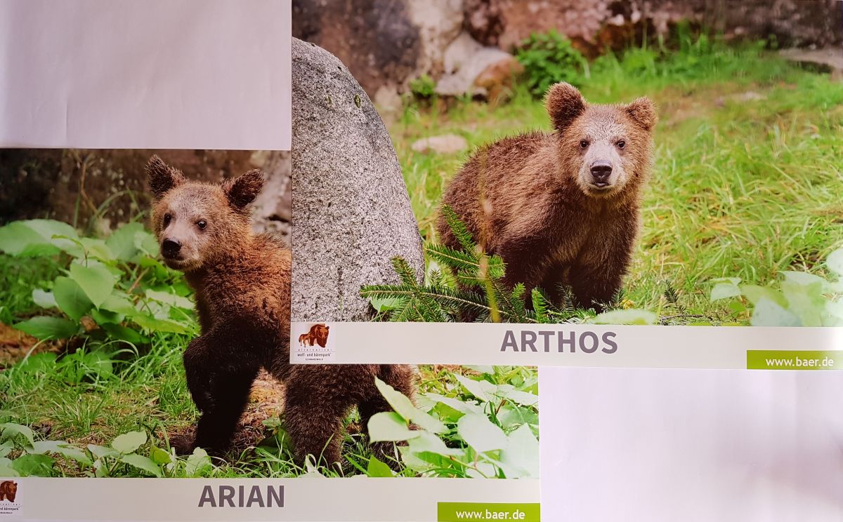 Poster von Arian und Artos