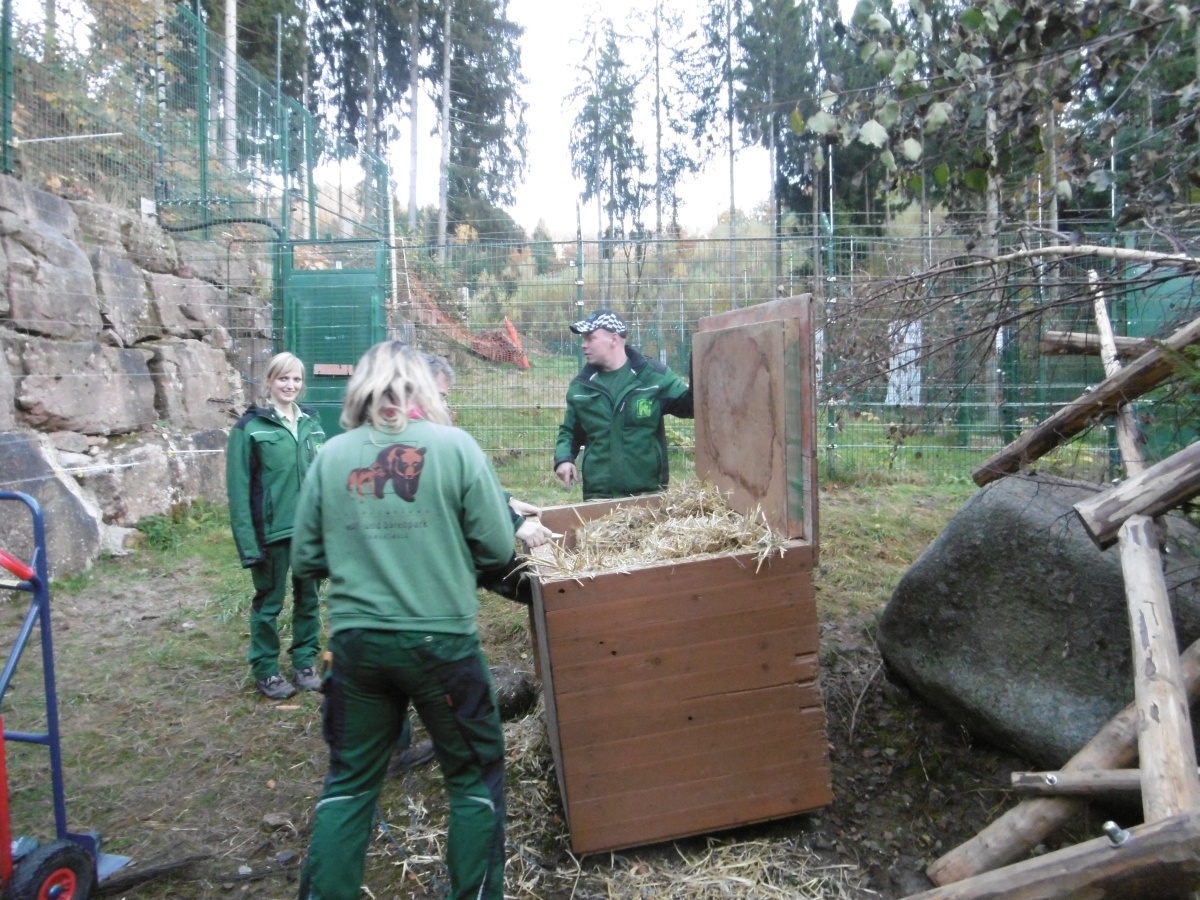 2016 11 04 bärenwelpe höhle 2