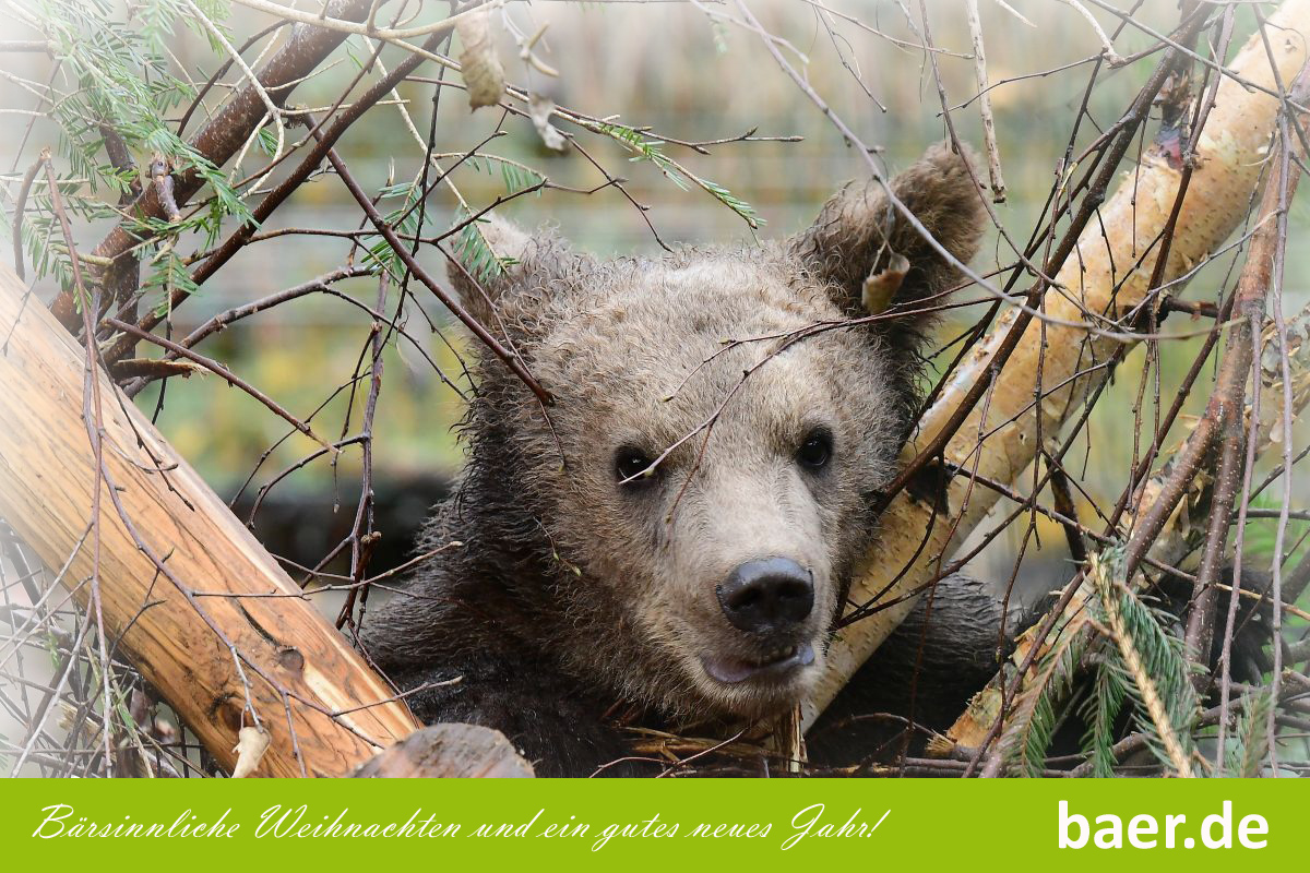 Frohe Weihnachten