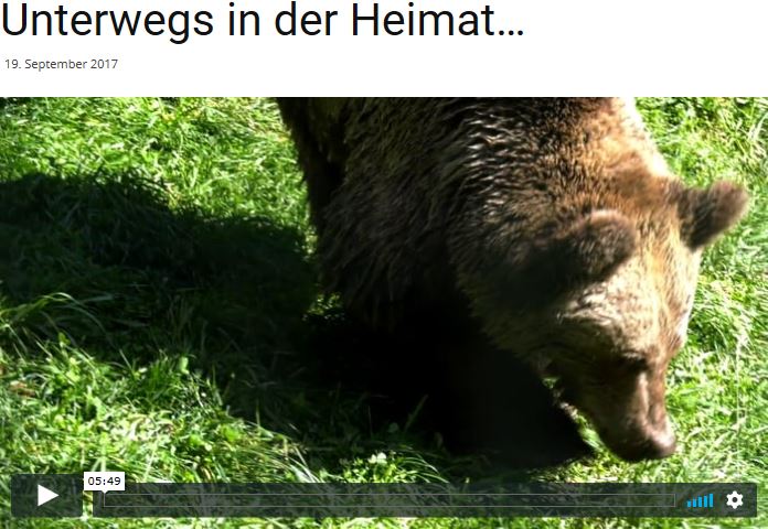 badisches.de