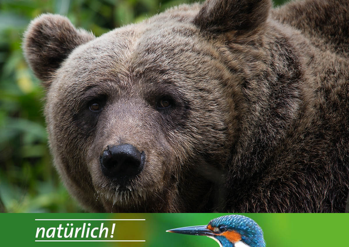 SWR3 im Bärenpark