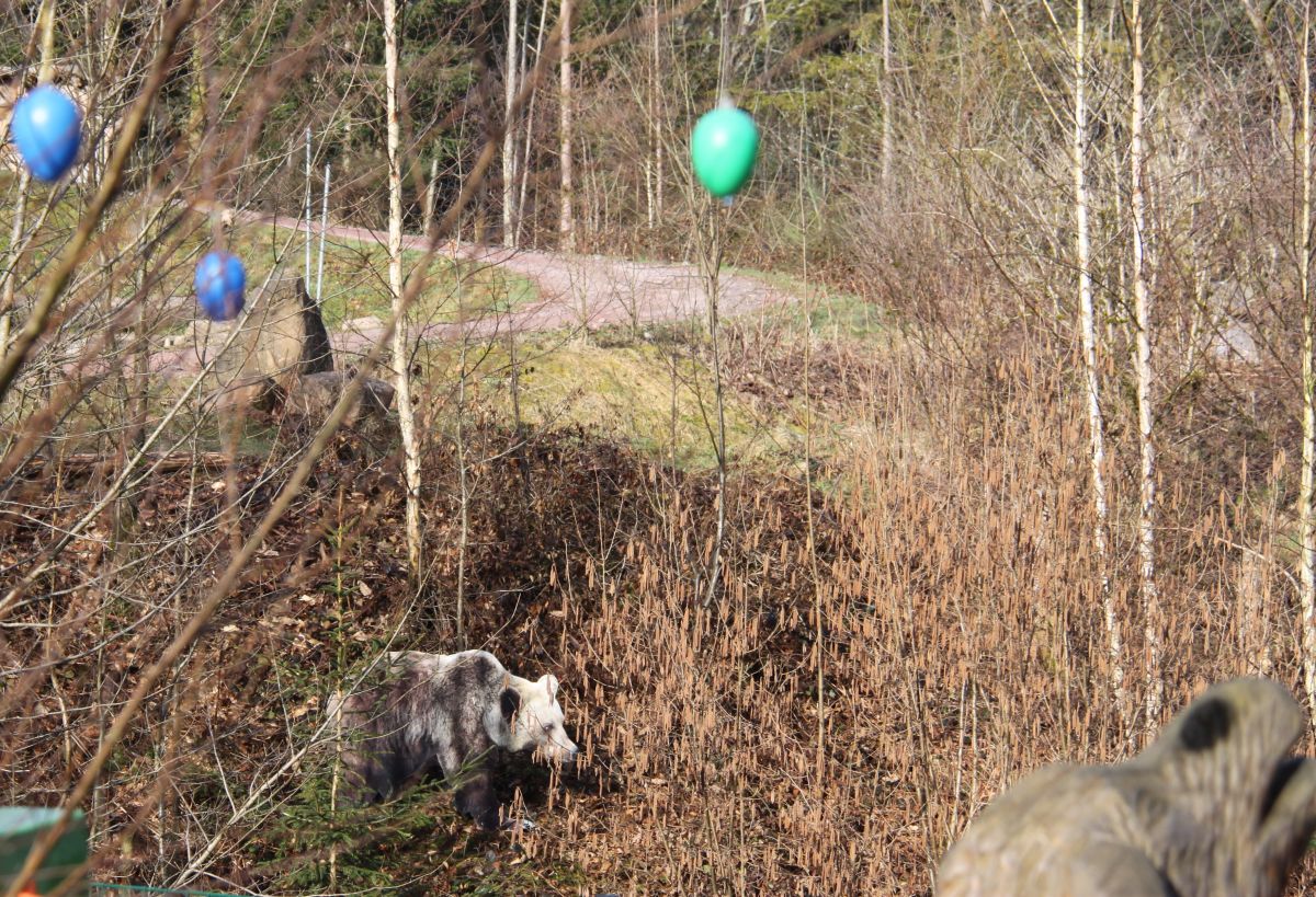 Ostern Schwarzwald