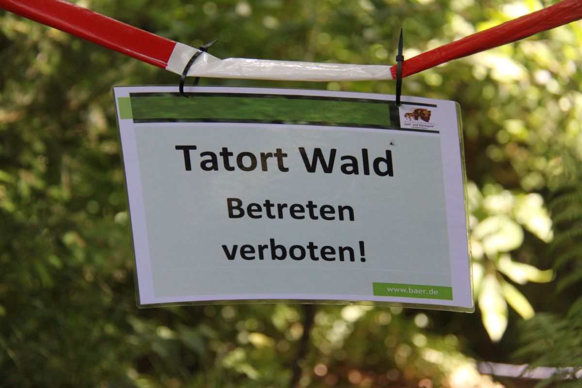 Tatort: Wald