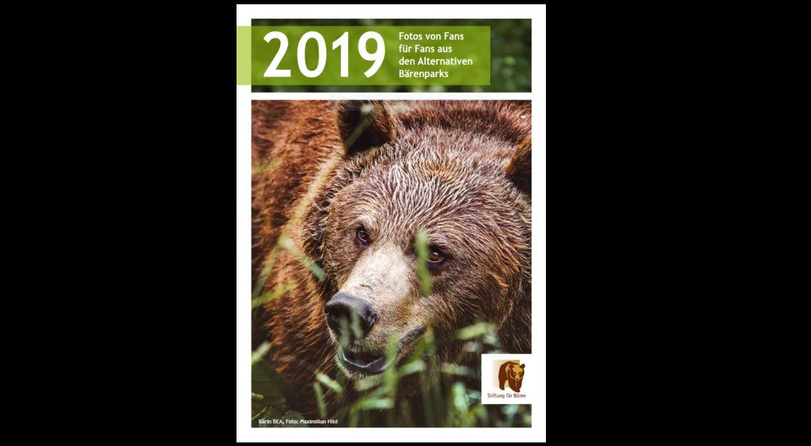 Bärenkalender 2019 - mit vielen Bär- und Wolf-Motiven