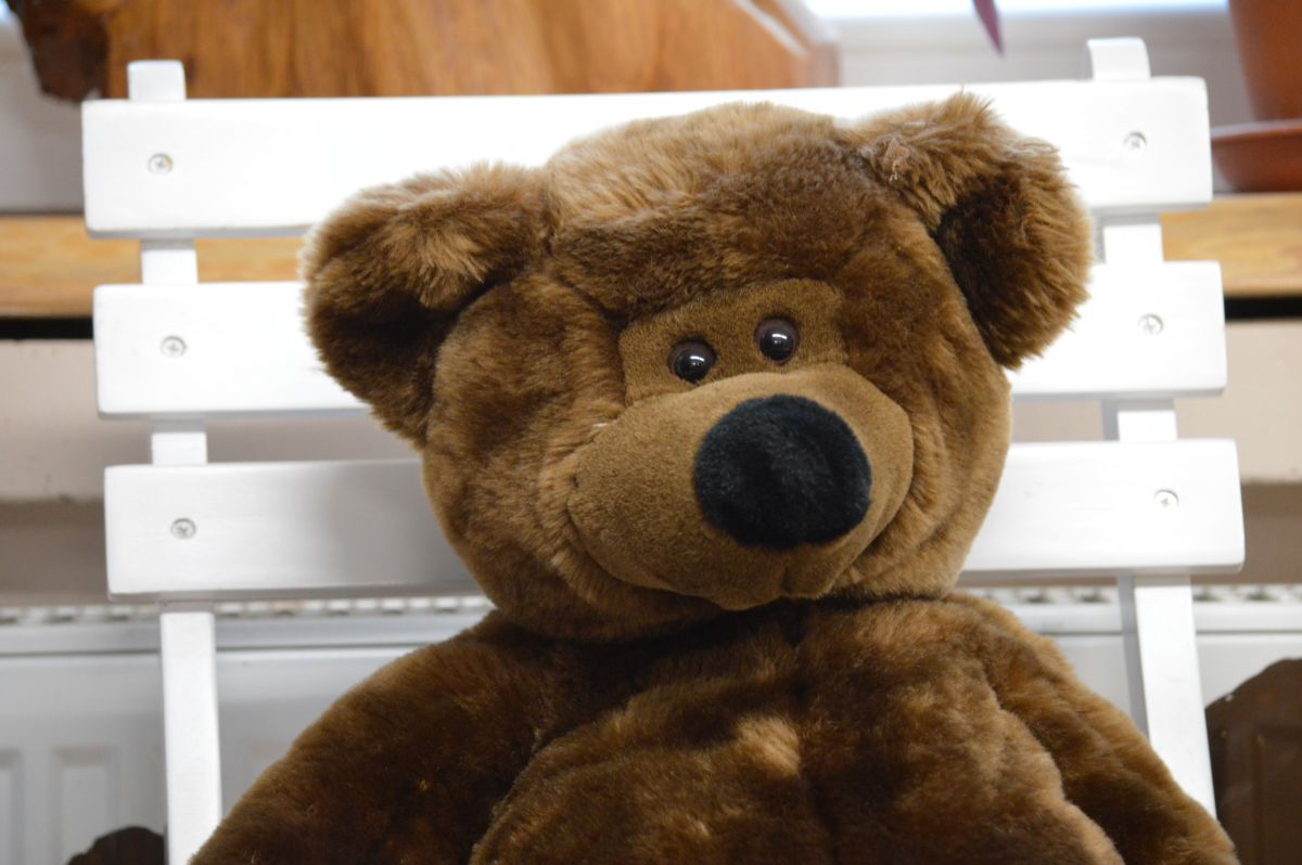Teddy auf Stuhl