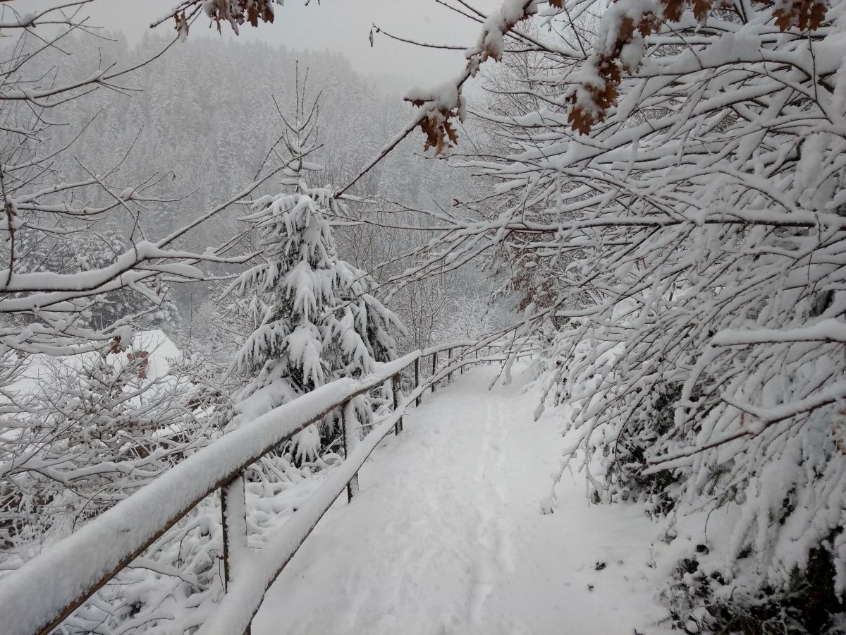 Neuschnee