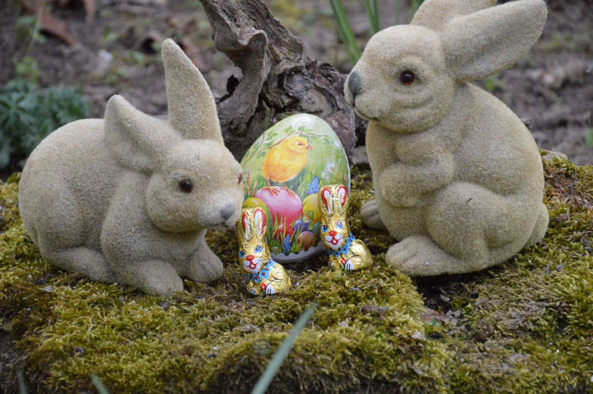 Osterhasen mit Ostereiern