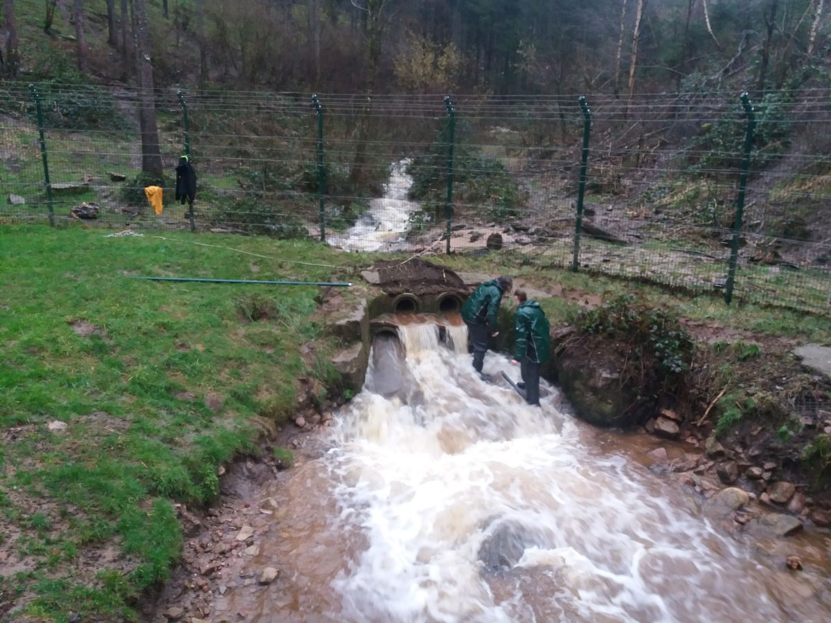 2020 02 03 hochwasser 1