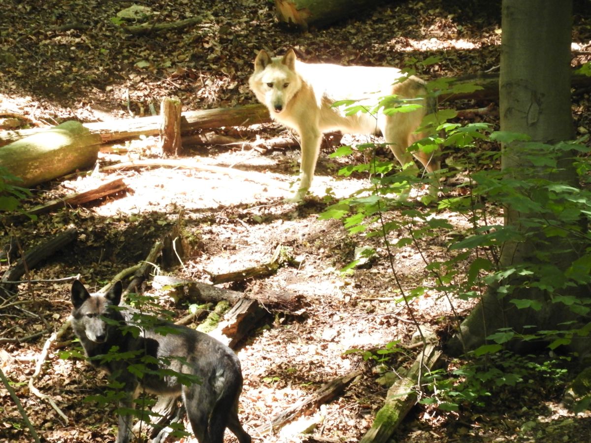 Ronja und Raik Ronja und Raik