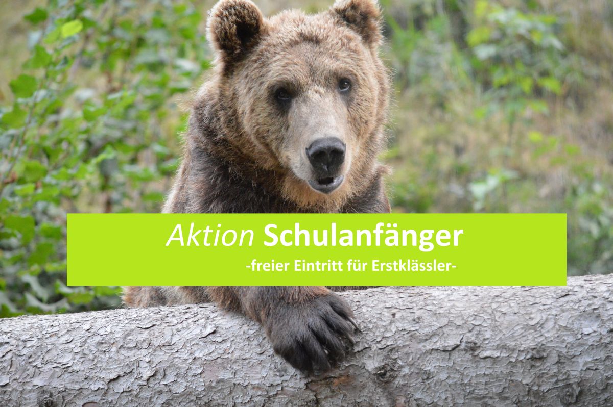 ARTHOS mit Baumstamm