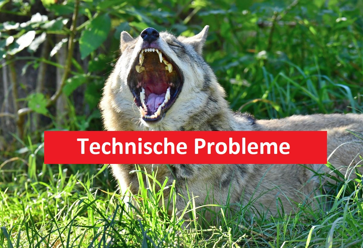 Aktuell streikt die Technik leider