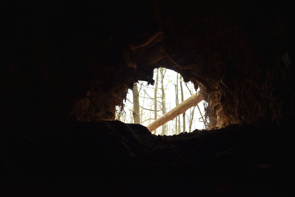 die Bärenwelpen ASUKA und POPEYE sind Winterruhe [Foto: Archiv]