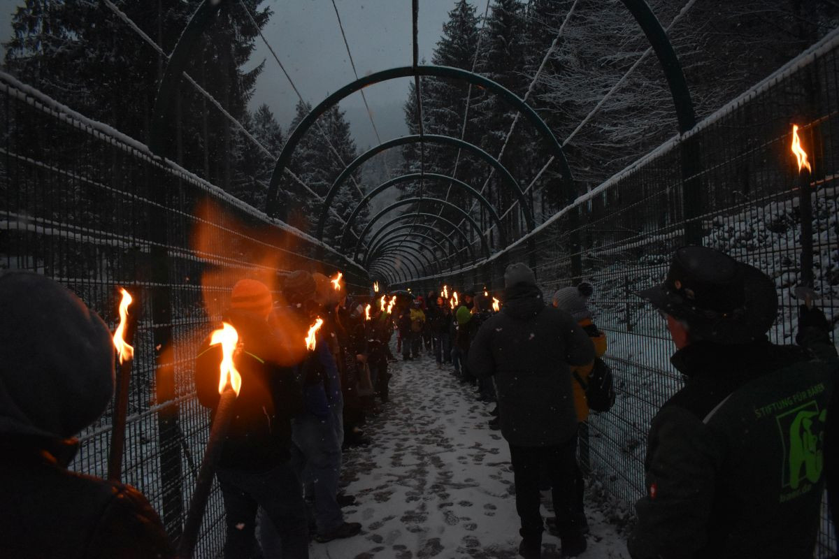 Bärenweihnacht 2022