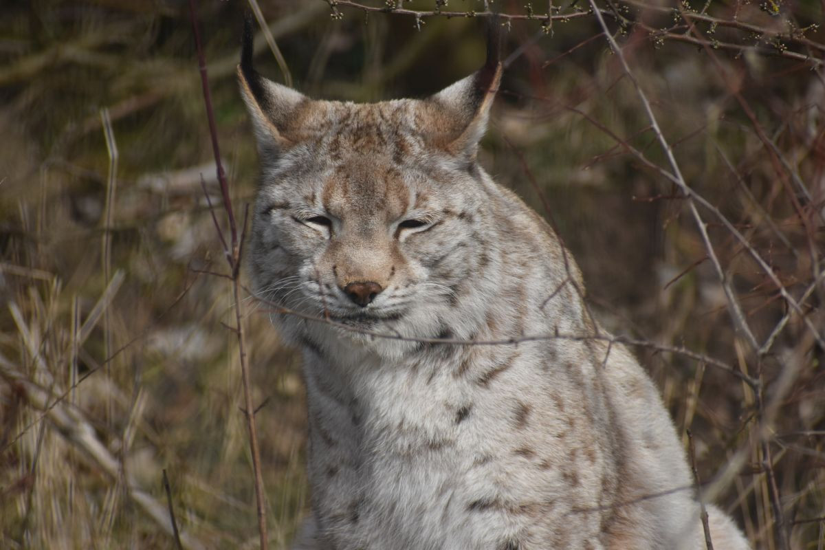 ELBA geht auf kulinarische Weiterbildung