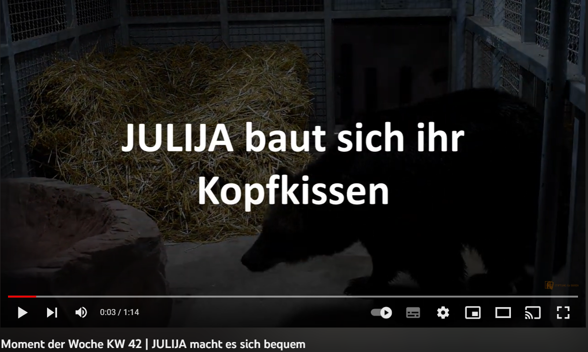 Video | JULIJA baut sich ihr Kopfkissen
