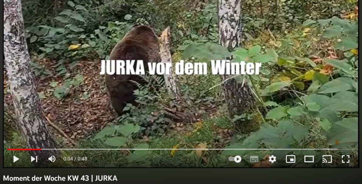 2023-10-25_awbs_jurka_mdw.png