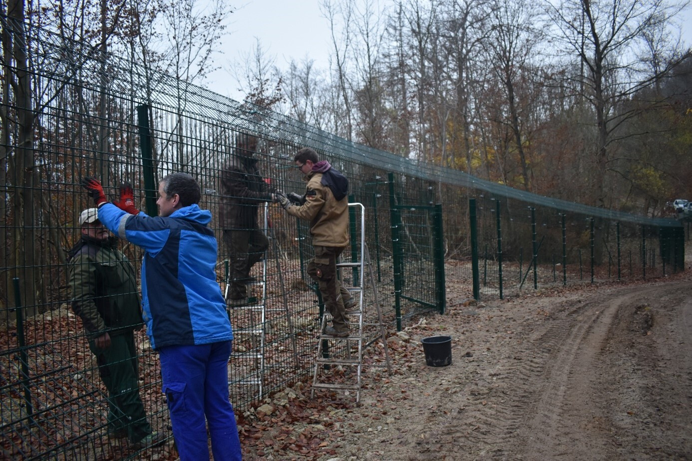 Zaunbau im Bärenpark Worbis