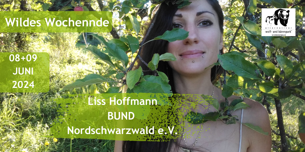 2024-04-01_awbs_wildeswochenende_lisshoffmann.png