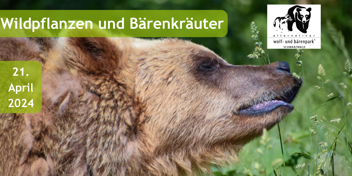 2024-04-05_awbs_eventkrauter.png