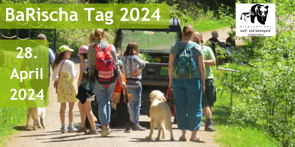 2024-04-11_barischa-tag-mak-bilder_1.png