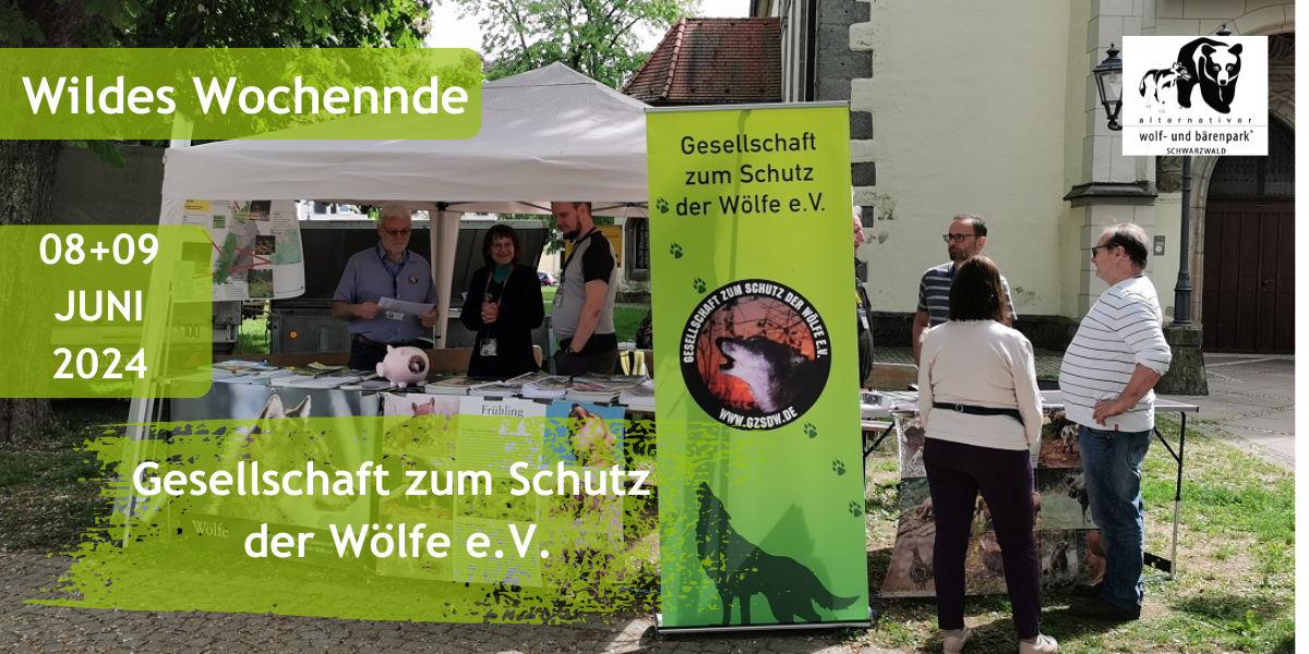 2024-04-22_wildeswochenende_gzsw.png