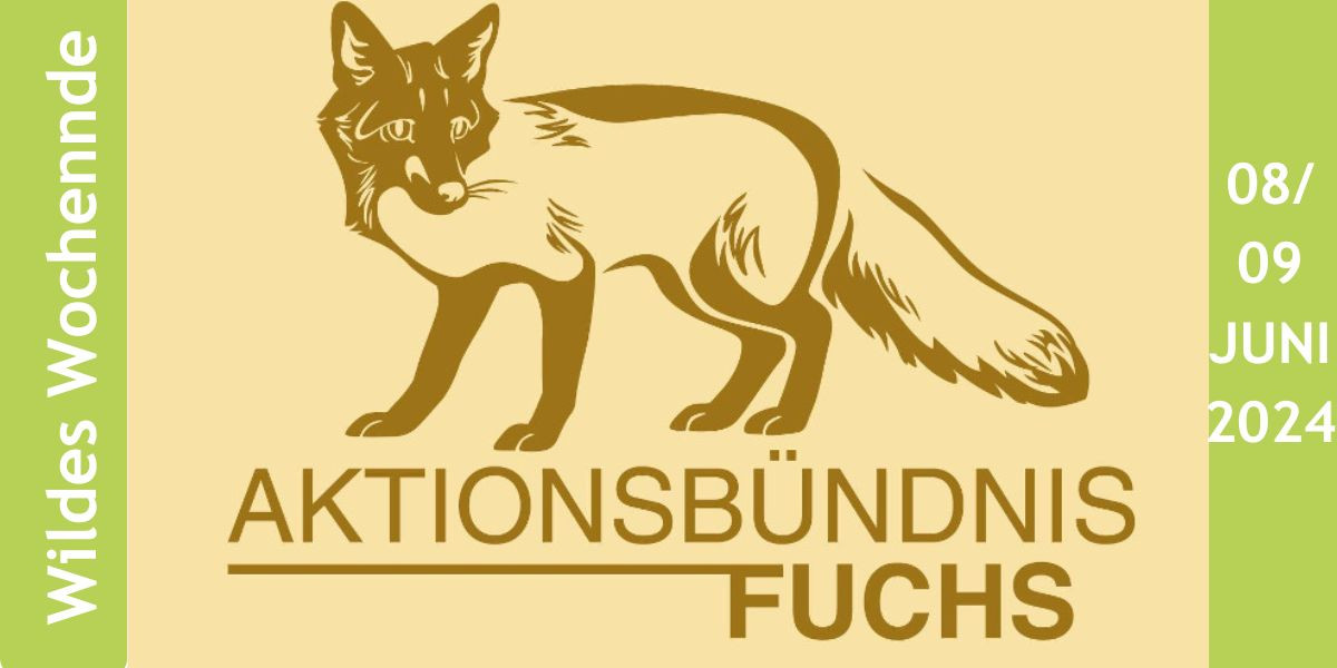 2024-05-07_awbs_wildeswochenende_fuchs.jpg