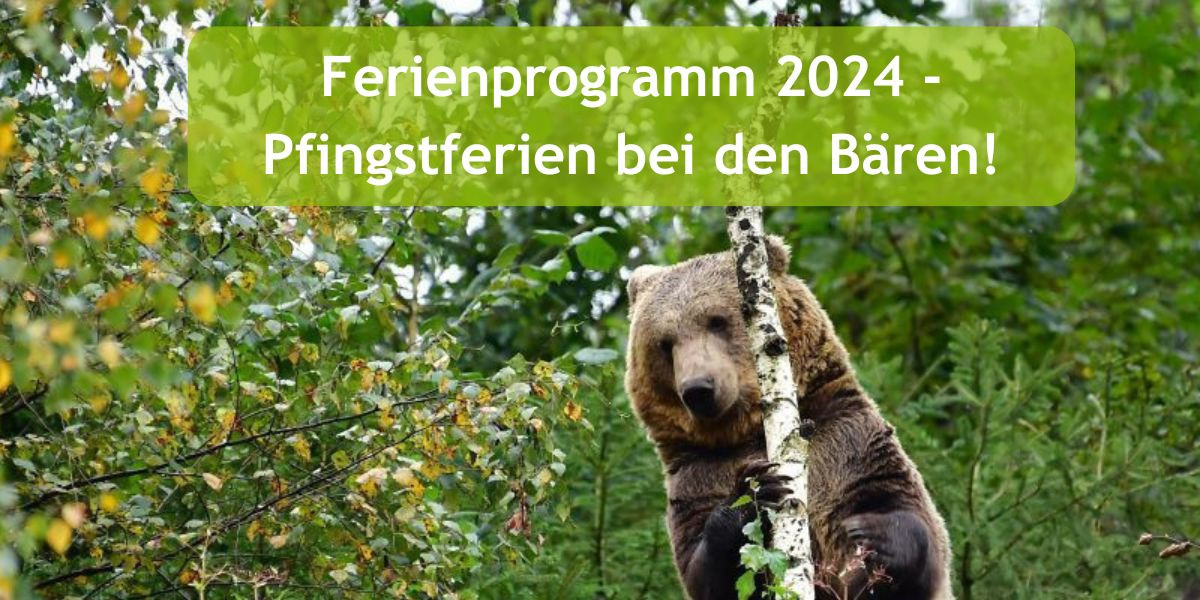 2024-05-14_awbs_pfingstferien.jpg