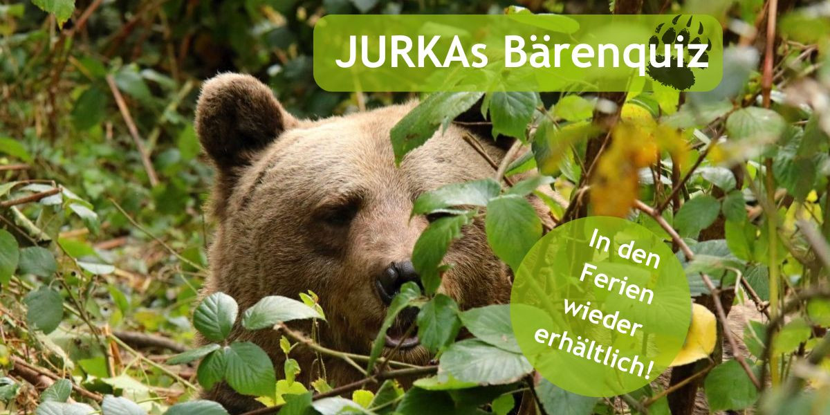 2024-07-25-jurka-quiz-webseite.jpg