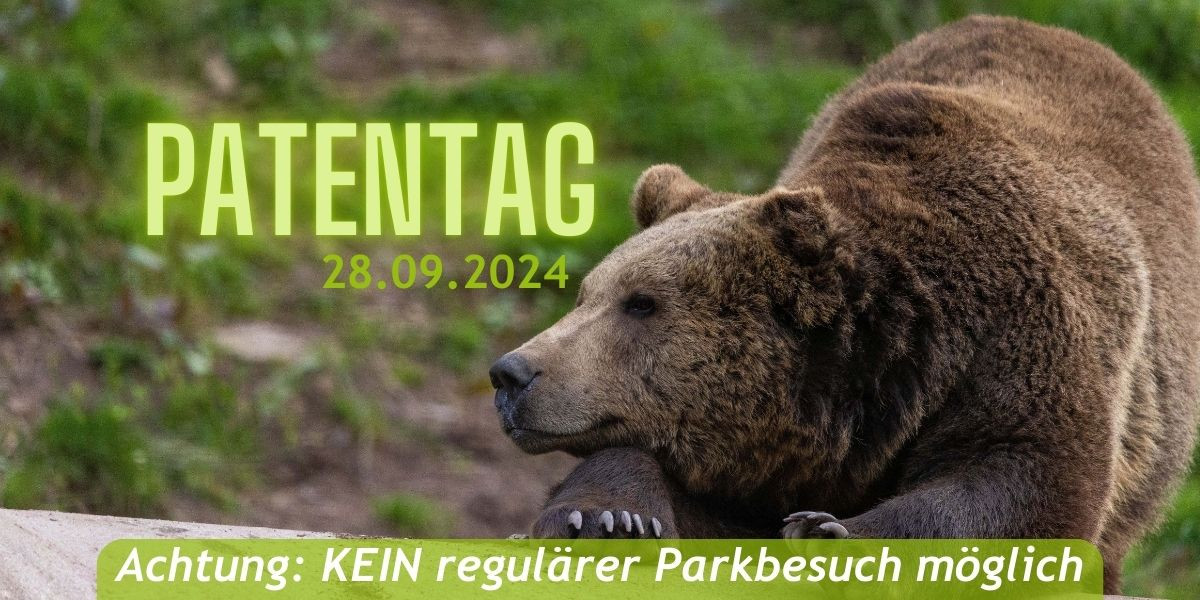 2024-09-19_awbs_patentag.jpg