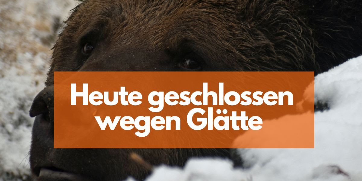 2025-01-15_glatteis_worbis.jpg