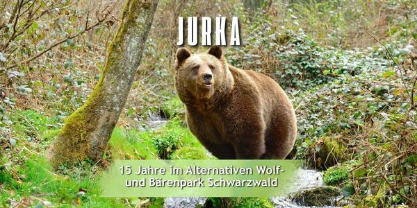 2025-08-26_jurka_15jahre-600-x-300-px.jpg