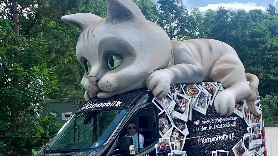 Das Catmobil - Deutscher Tierschutzbund Das Catmobil - Deutscher Tierschutzbund