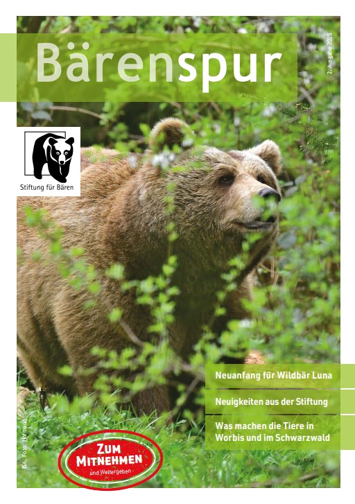 Bärenspur Magazin 1/2025