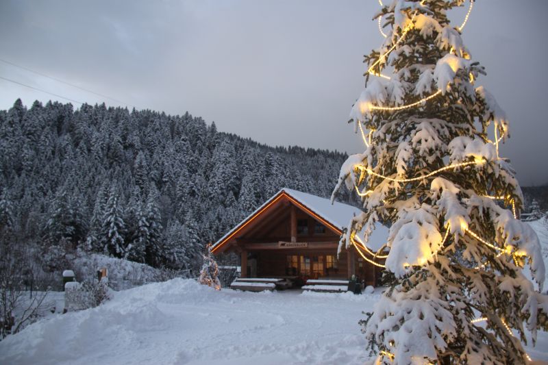 Schnee im Bärenpark