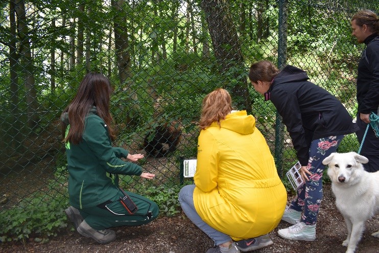 Öffentliche Führung