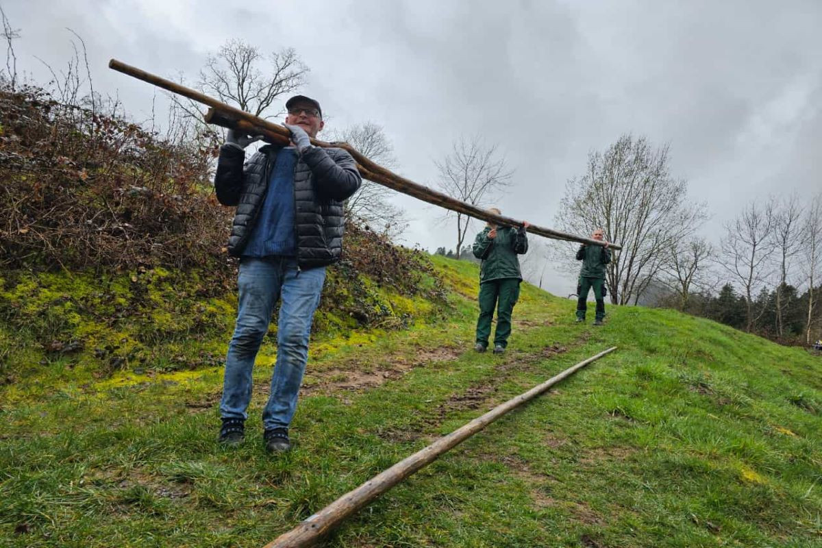 Arbeitseinsatz im Alternativen Wolf- und Bärenpark Schwarzwald