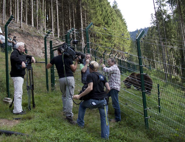 Das Filmteam des WDR und Hannes Jaenicke im Bärenpark Schwarzwald