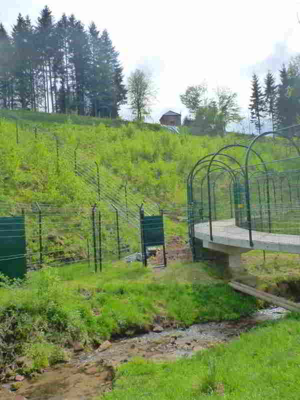 So können die Bären-Drillinge aus Lausitz zukünftig im Bärenpark leben