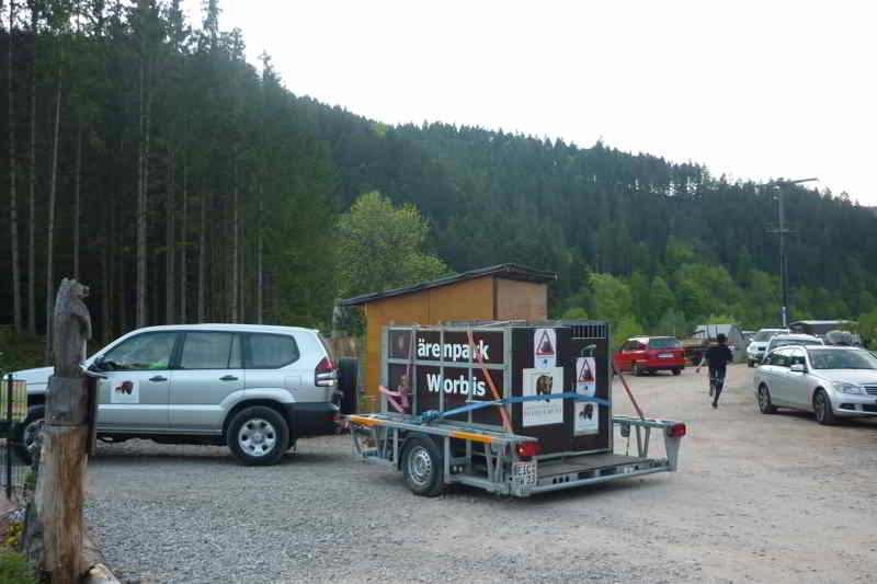 2012-05-19-news-baeren-aus-senftenberg-kommen-im-baerenpark-an-01