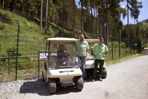 die neuen Golfcars als Geschenk von Animal Trust