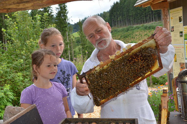 Bienen-Erich 005-1024
