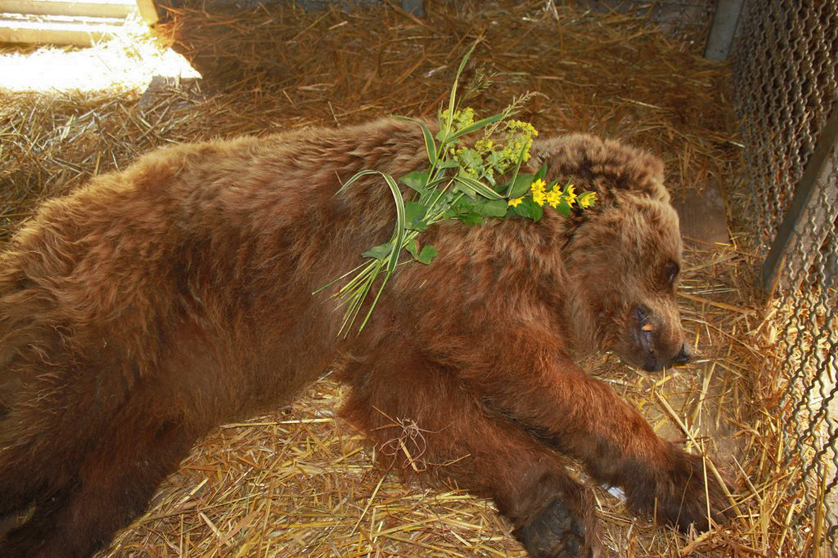 Abschied von Leoni. Foto: SfB