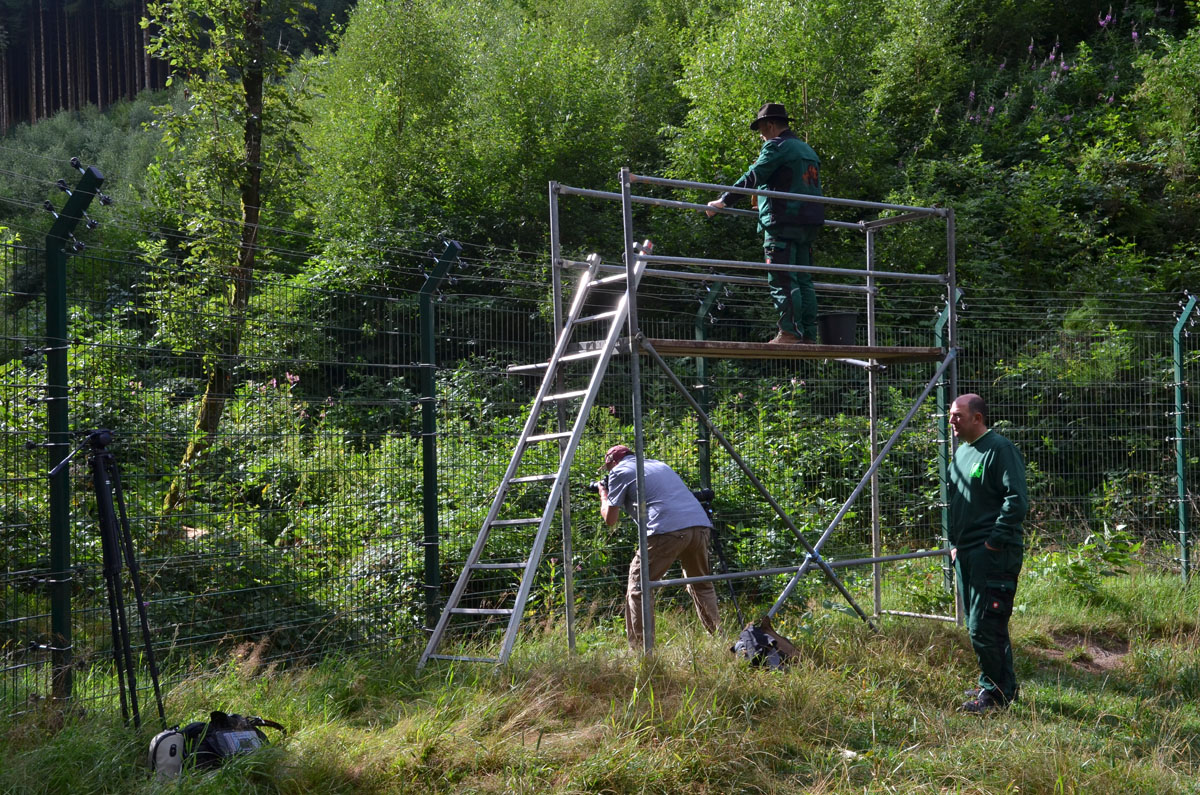 Begehbare Aufbauten erlaubten Einblicke ins Gelände, die sonst nicht möglich sind.