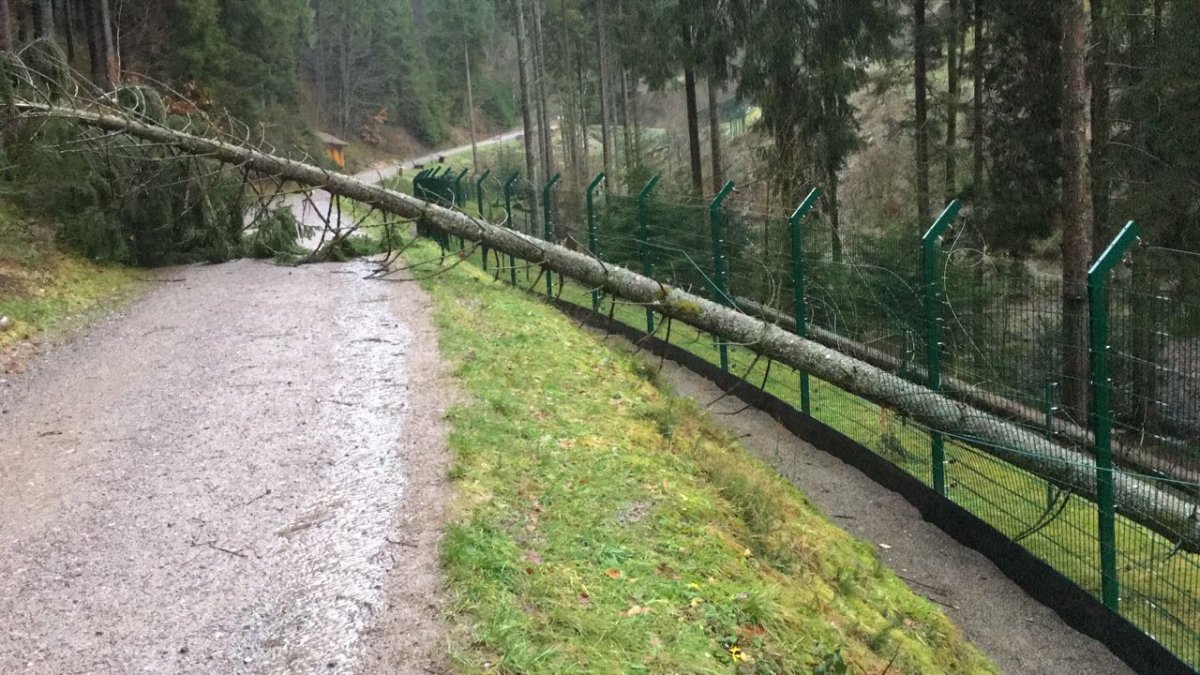 Sturmschaden