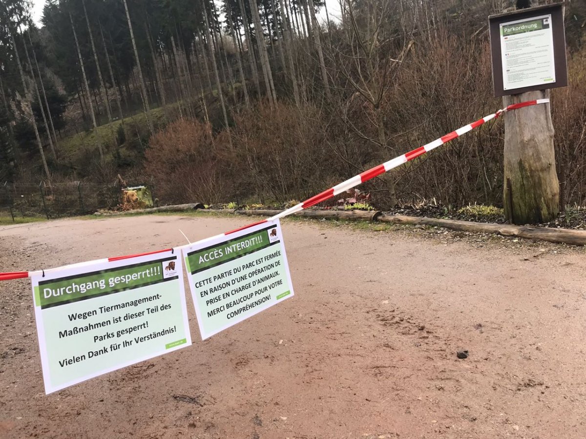 Sperrung im Innenbereich