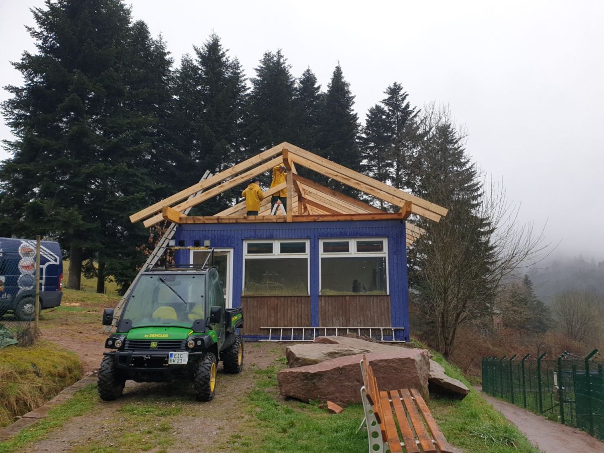 Dachbau
